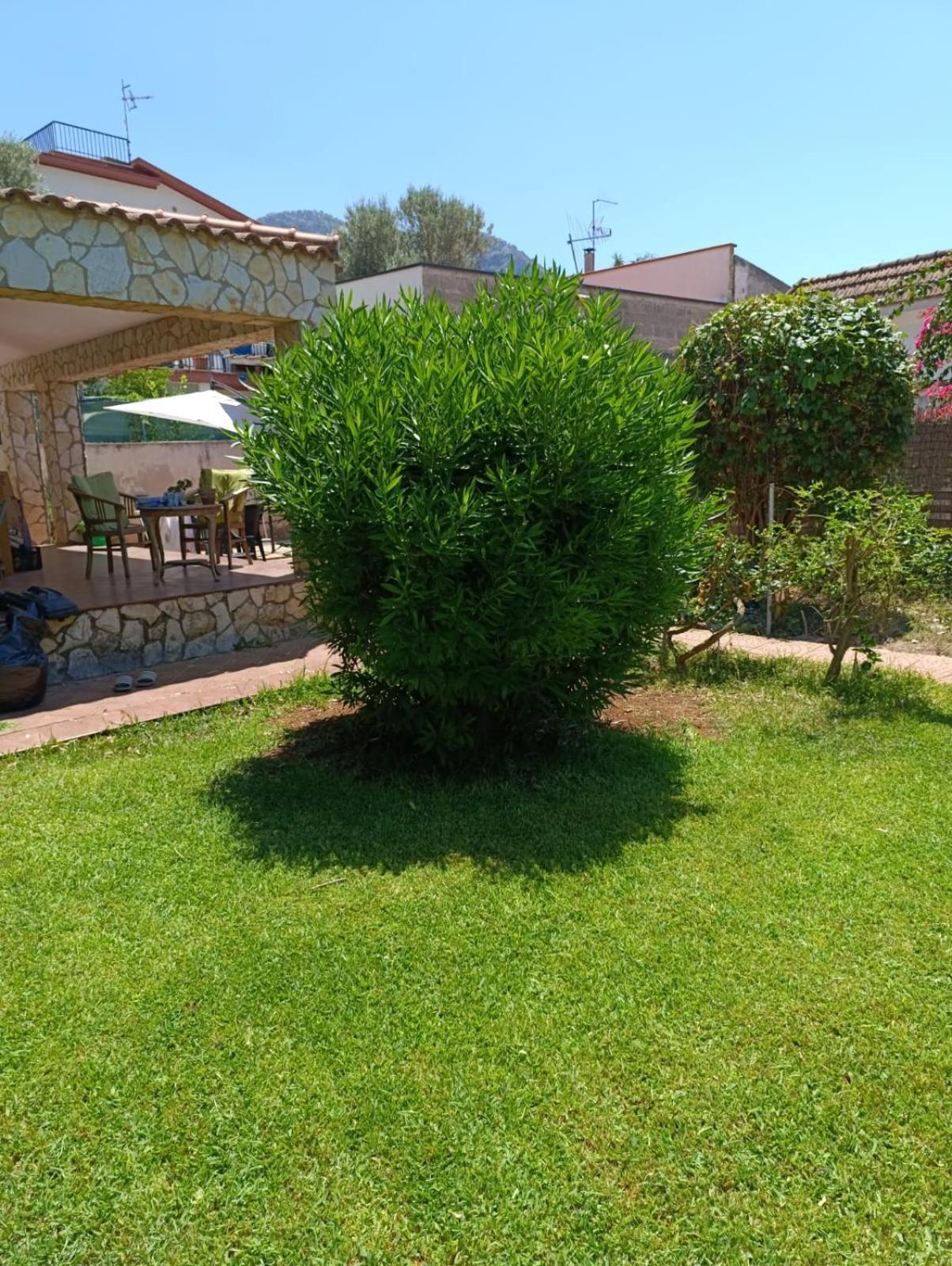 Casa In Giardino A Pochi Passi Dal Mare Βίλα Παλέρμο Εξωτερικό φωτογραφία